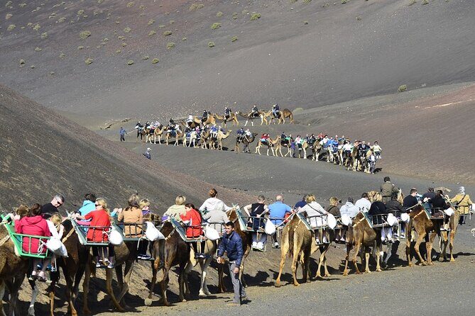 Timanfaya Park & Camel Ride (extra cost) - Short South Tour - Is It English-Friendly and Family-Friendly?