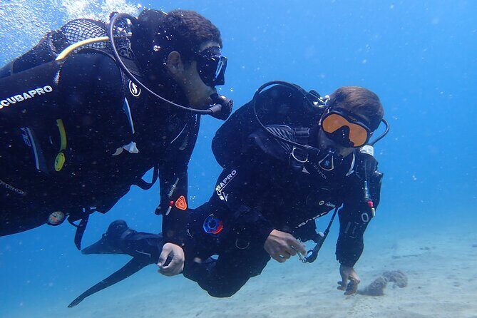 Try Scuba Diving in Lanzarote (No experience needed) - Key points to know before you try scuba in Lanzarote