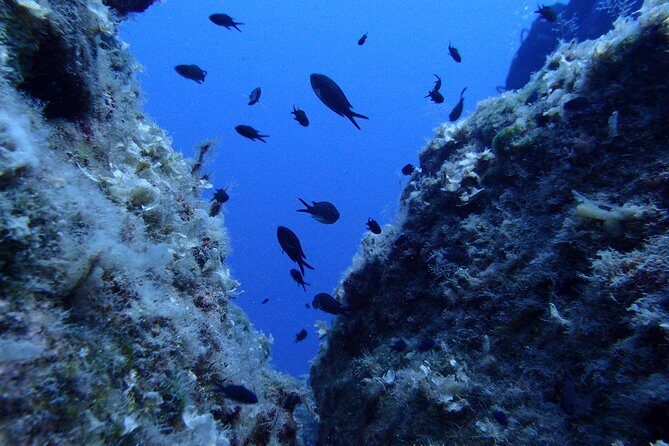 Try Scuba Diving in Lanzarote (No experience needed) - Playa Chica is the smart starting point for your first underwater session