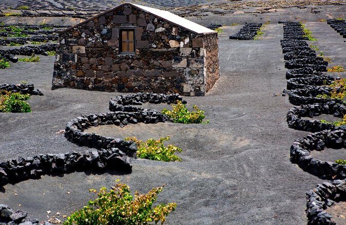 Vineyards of La Geria hiking tour - Quick highlights you’ll care about