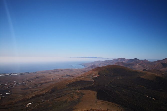Vineyards of La Geria hiking tour - The winery stop at Bodegas Rubicón: Volcanic Malvasia and a relaxed tasting