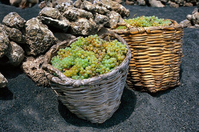 Vineyards of La Geria hiking tour - Included snacks and water: small details that keep the day enjoyable