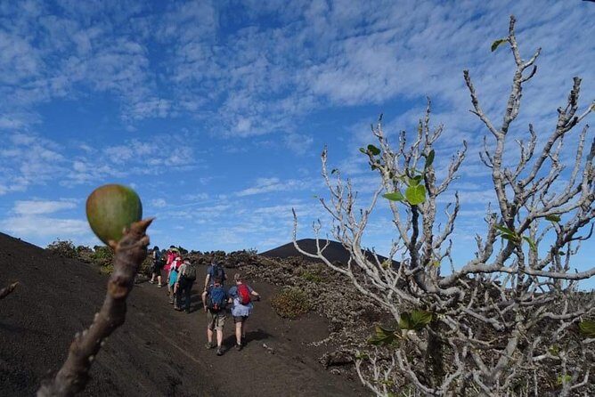 Volcano Trekking Tour (Timanfaya eruptions) - Getting to Timanfaya: Tinajo meeting point and pickup that helps