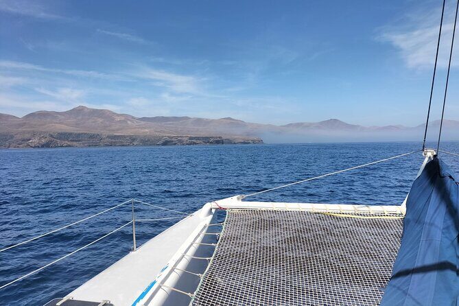 Whale & Dolphin Observation on Silent Catamaran with Hydrophone - Boarding at Puerto Calero: The practical start to your sea time