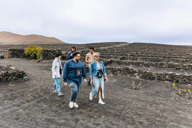 Wine Lovers: Wine Tasting Tour at El Grifo Bodega Lanzarote - Price and Value: How $57 Fits This Mix of Wine, Museum, and Expertise
