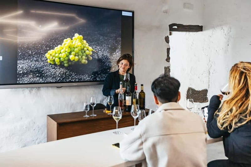 Wine Lovers: Wine Tasting Tour at El Grifo Bodega Lanzarote - The Grapes You’ll Learn to Taste: Malvasia, Listán Negro, Syrah